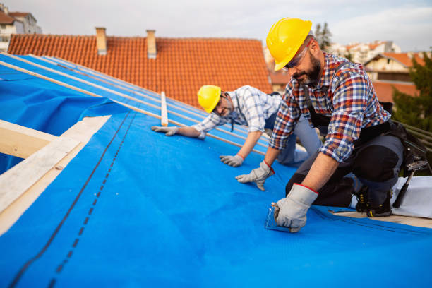 Best Flat Roof Repair Services  in Fairmont, MN