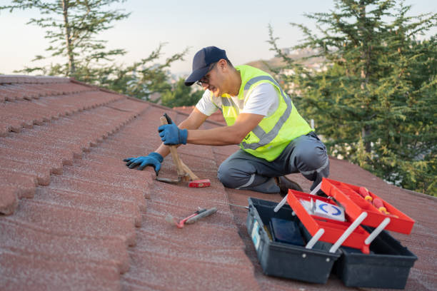 Best Roof Gutter Cleaning  in Fairmont, MN